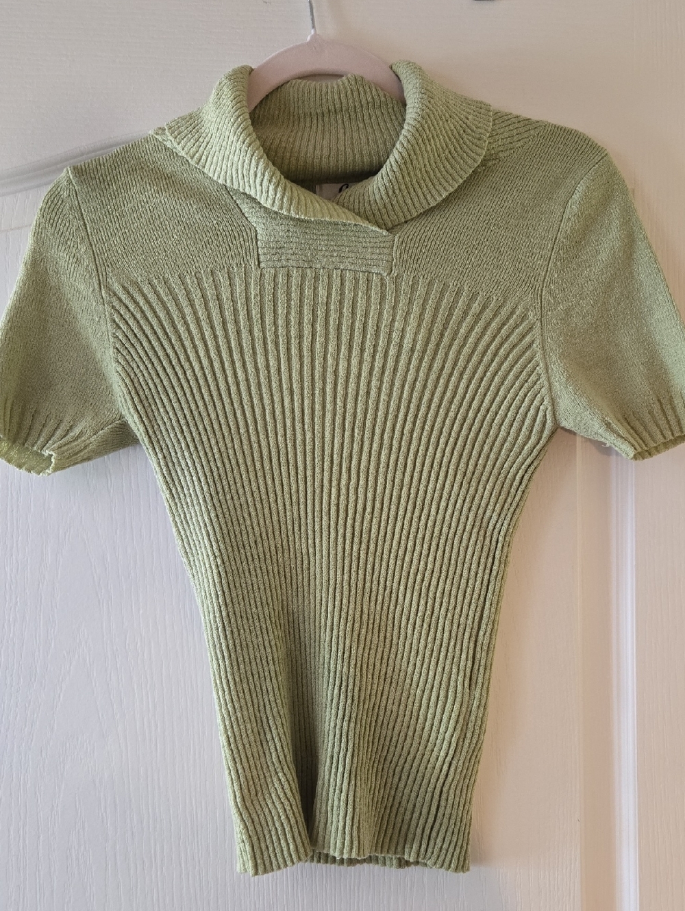 Light Green Ribbed Short-Sleeve Turtleneck Top